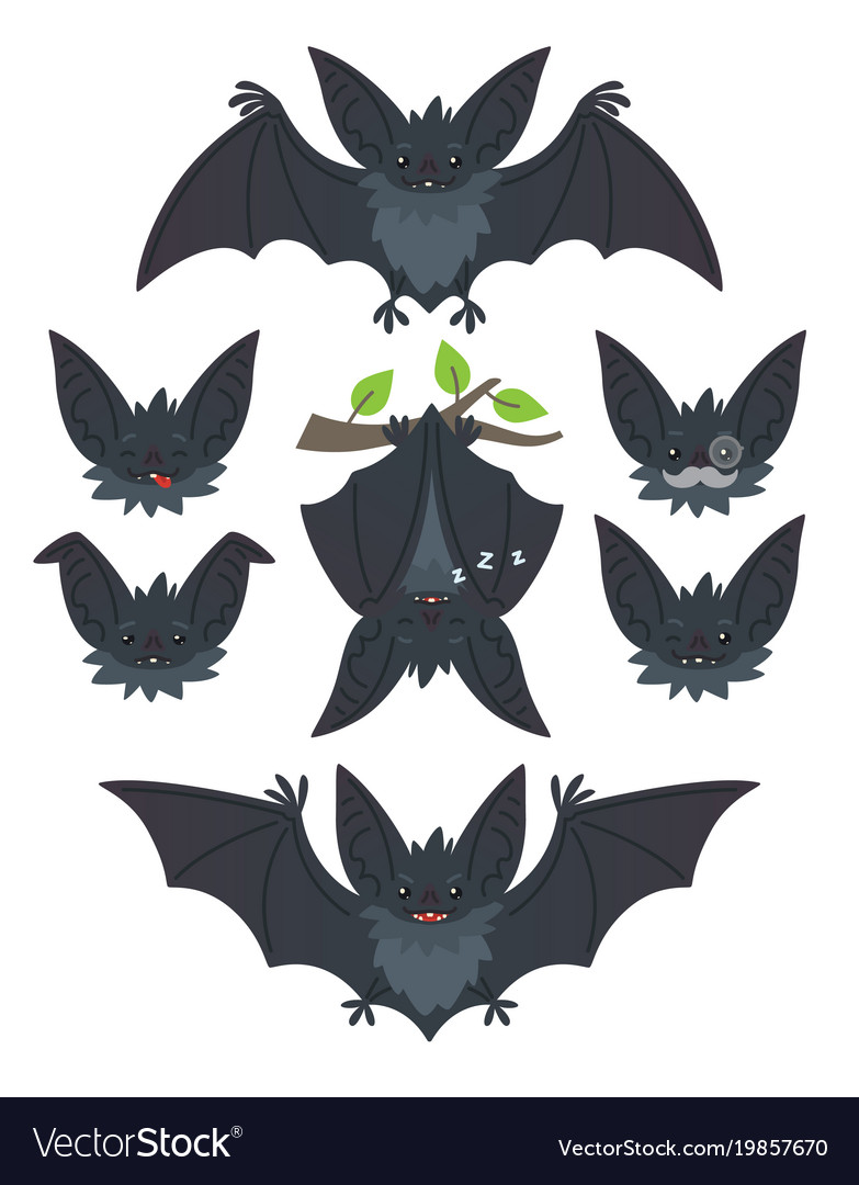 Bat in various poses flying hanging grey