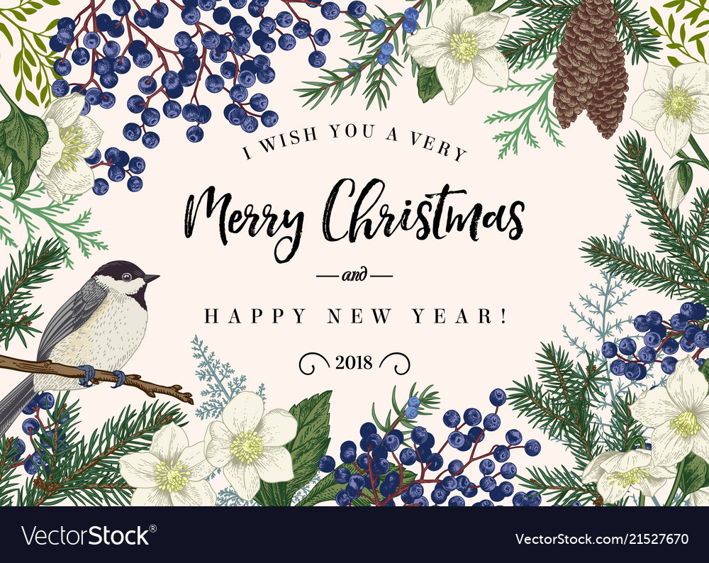 Christmas card with bird vector image Christmas card with bird