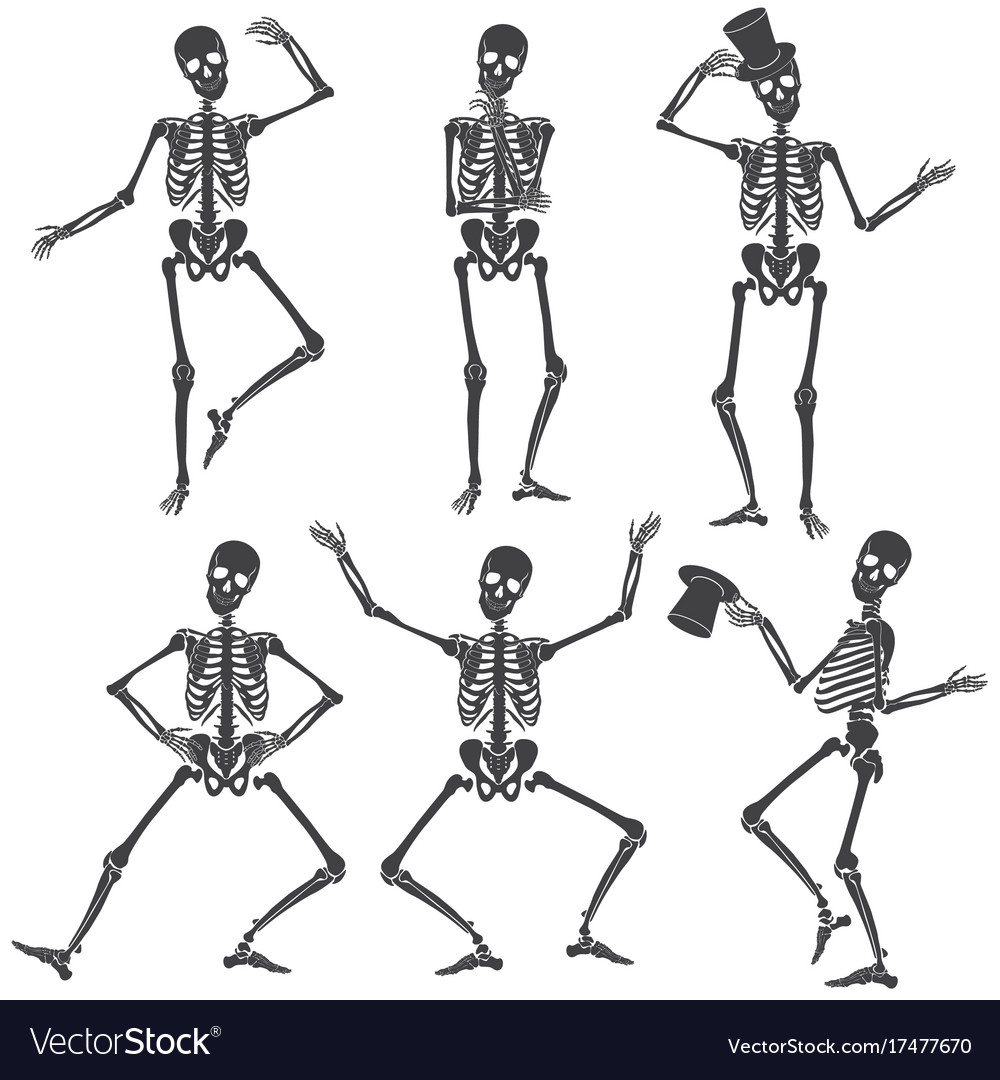 Dancing skeletons different skeleton poses vector image. 