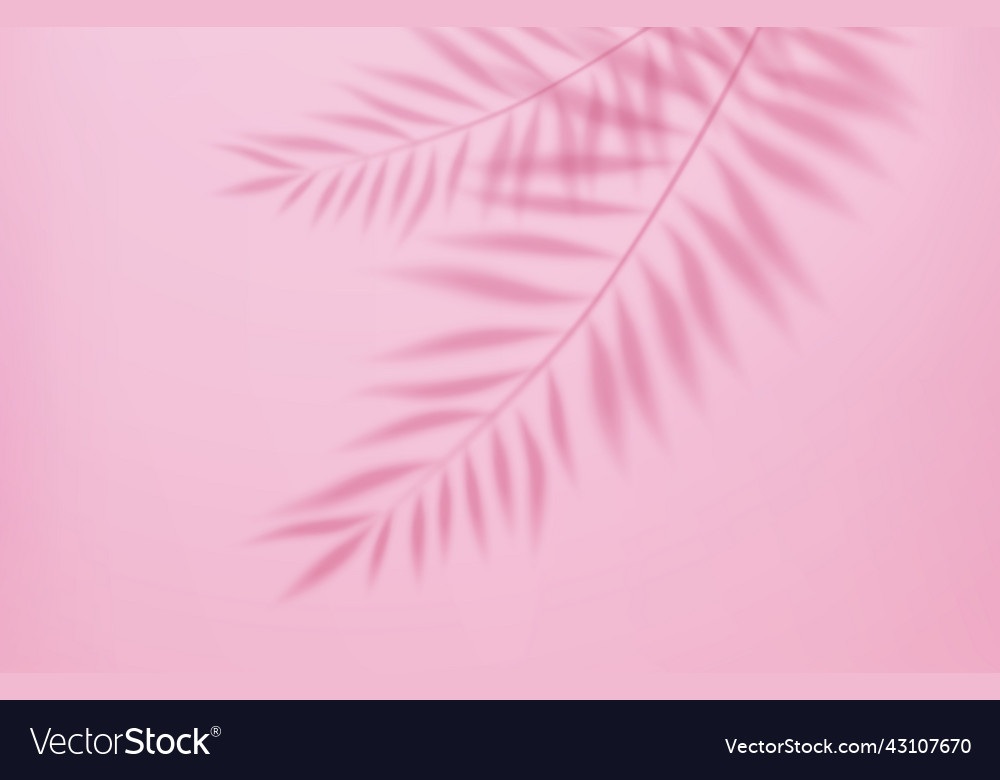 Empty studio abstract background vector image Empty studio abstract background
