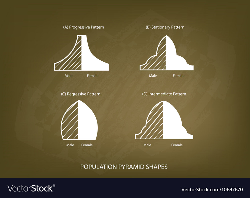 Four Types Of Potion Pyramids On Chalkboard Vector Image