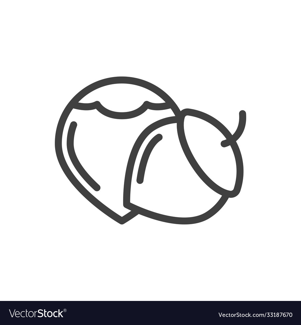 Hazelnut icon minimalistic image nuts vector image Hazelnut icon minimalistic image nuts