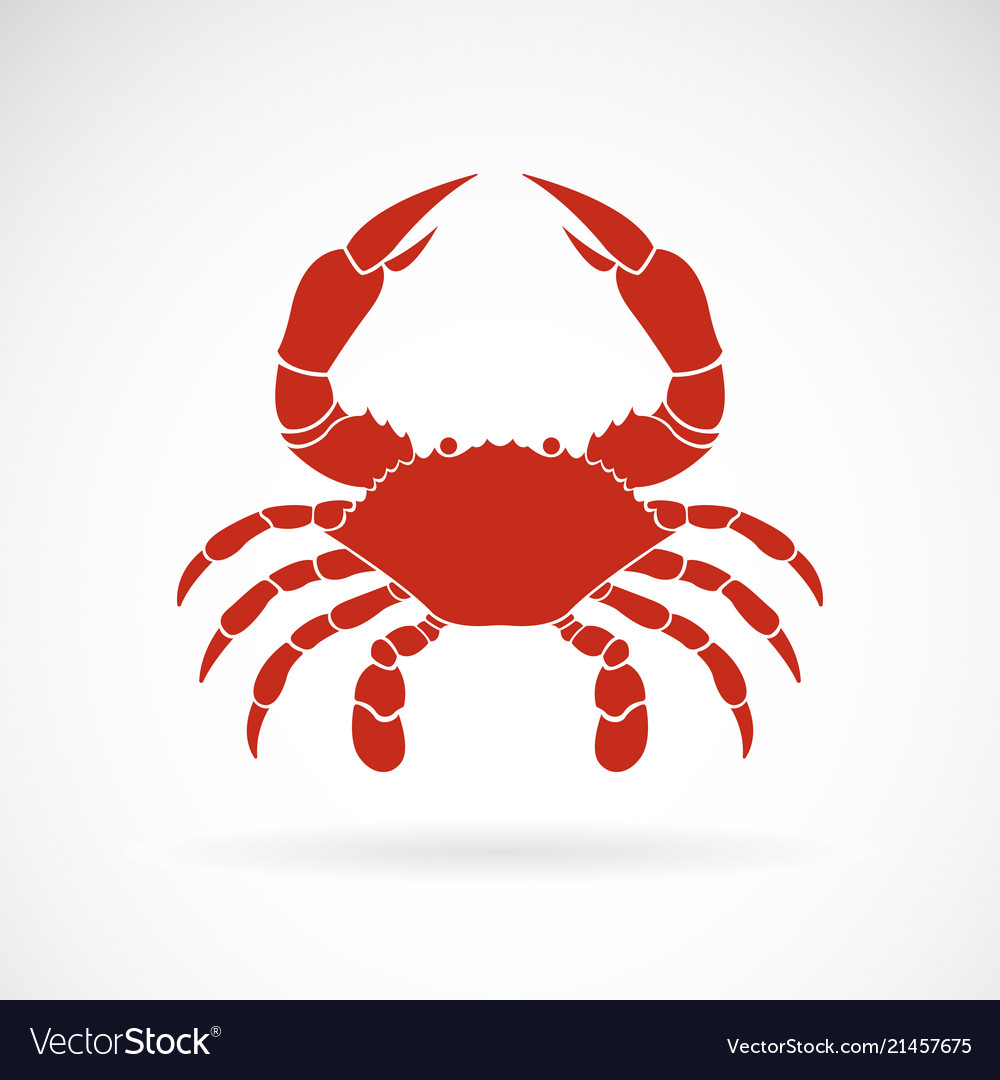 A crab on white background animals crab icon sea vector image A crab on white background animals crab icon sea