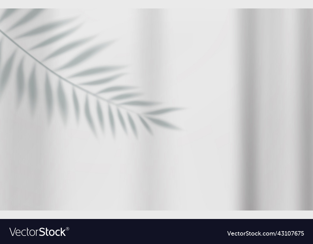 Empty studio abstract background vector image Empty studio abstract background