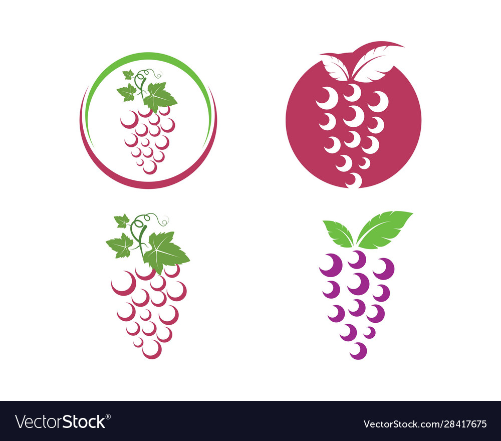 Grape fruits with leaf icon