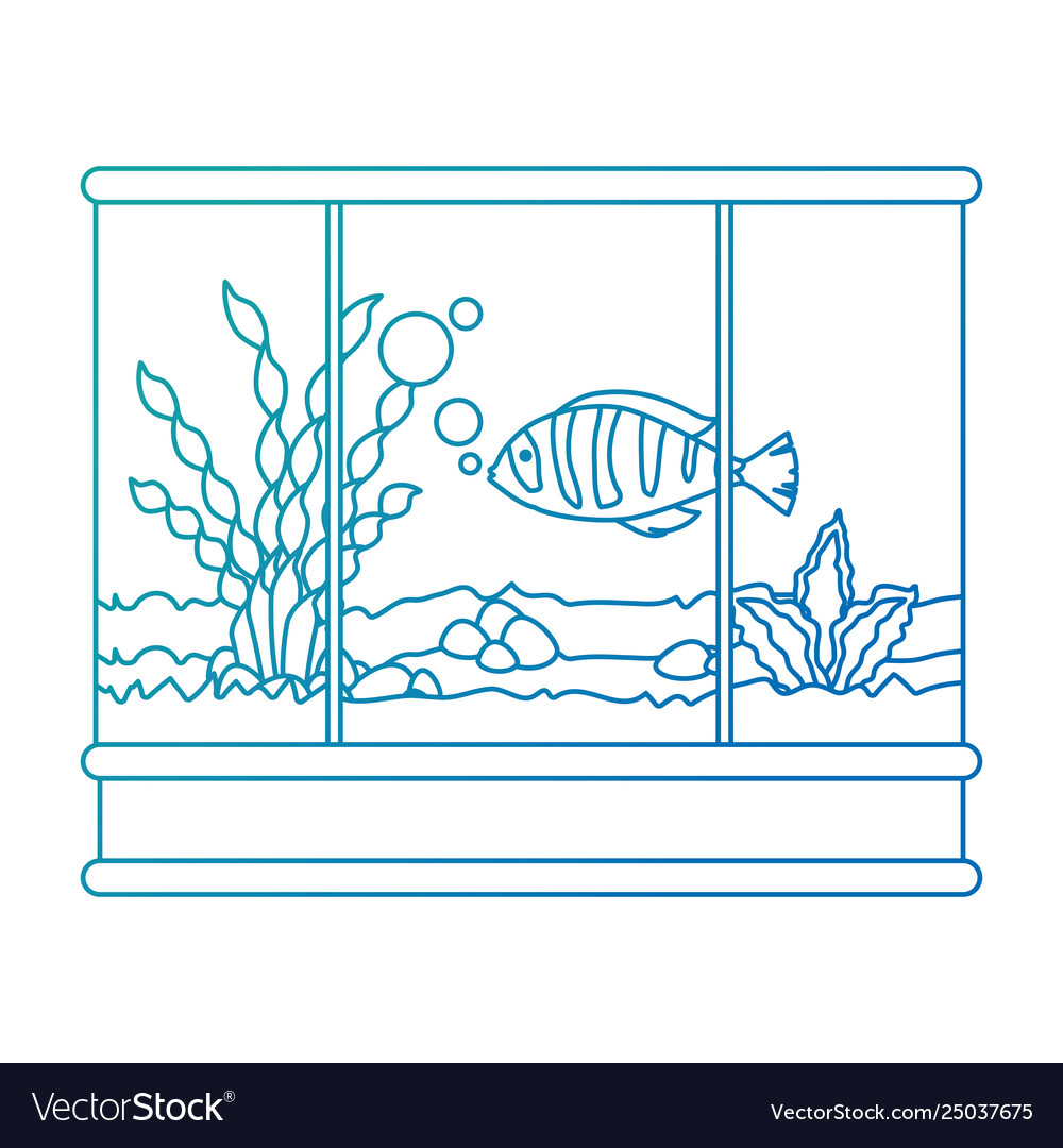 Square aquarium with colors fish Royalty Free Vector Image