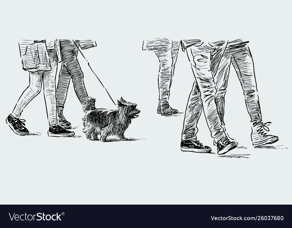 People and lapdog Royalty Free Vector Image - VectorStock