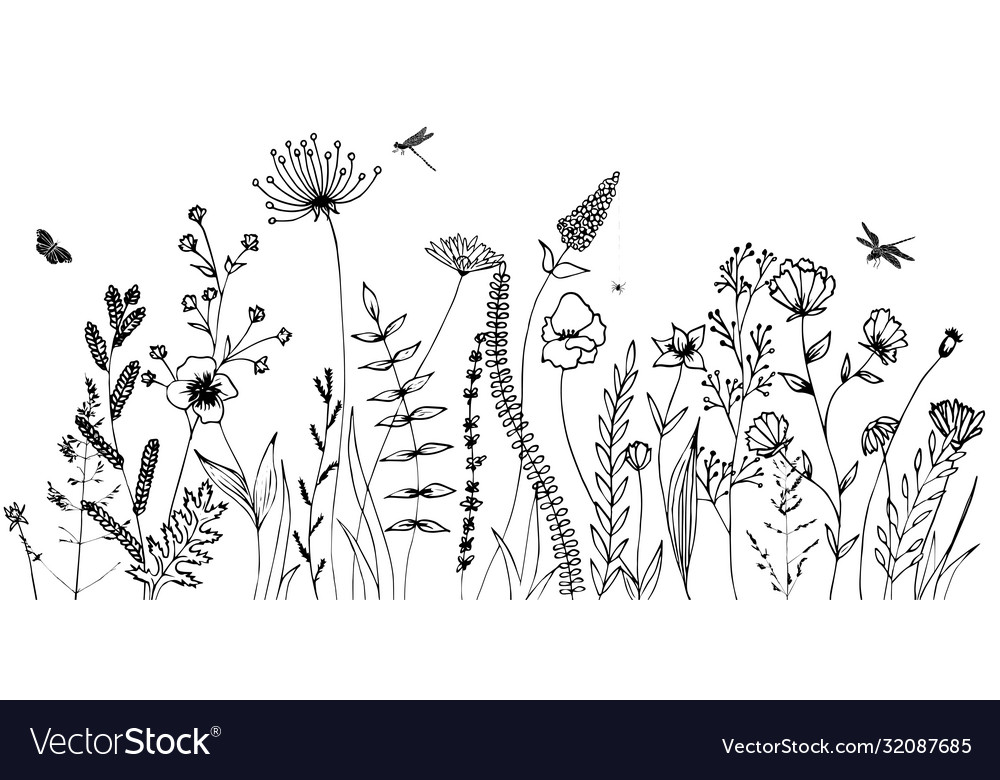 Black silhouettes grass flowers herbs Royalty Free Vector