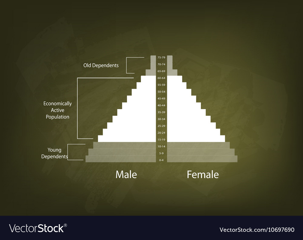 Detail of population pyramids graphs depend on age