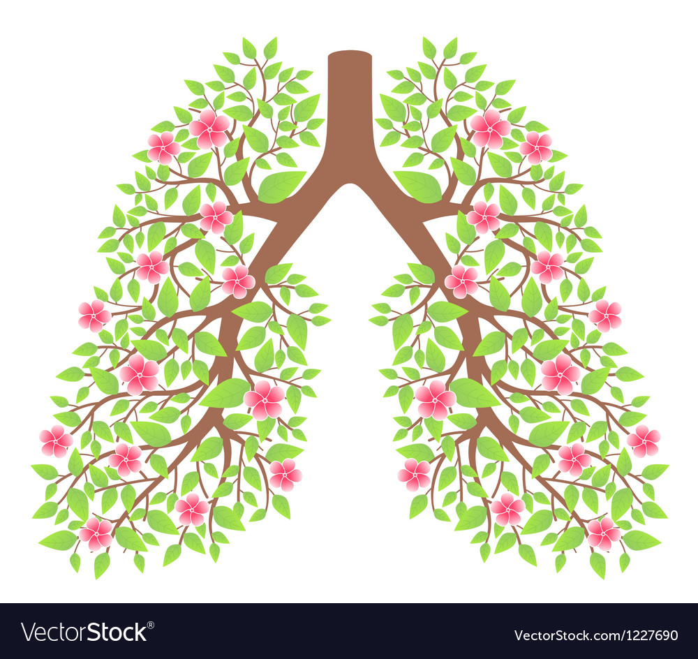 Lungs healthy