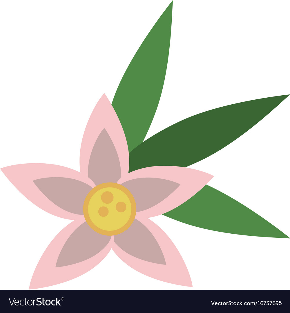 Flower with leaves icon image