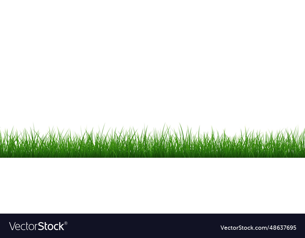 Green grass repeat texture Royalty Free Vector Image