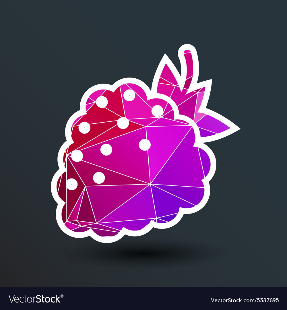 Raspberry logo template abstract design
