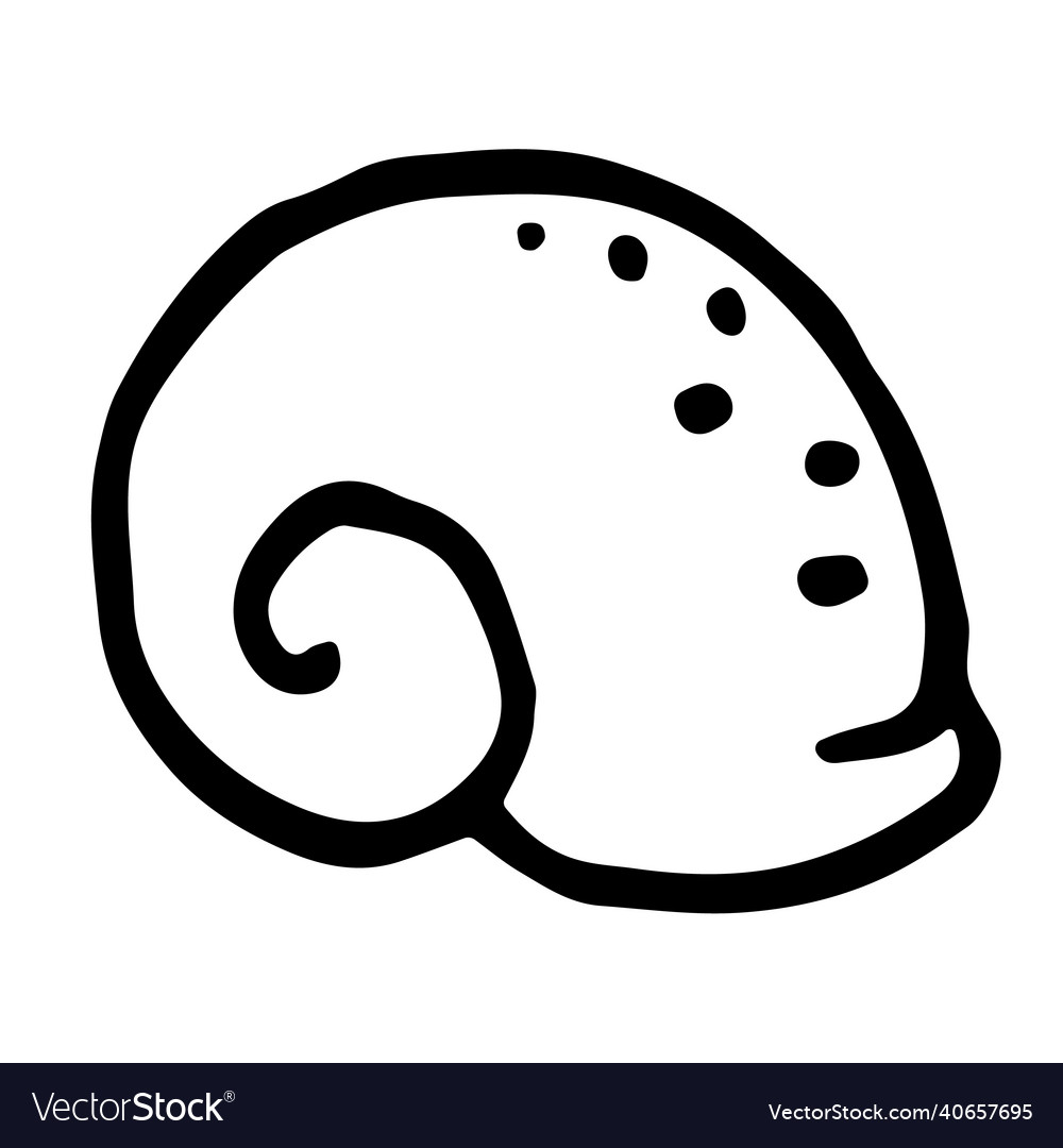 Snail shell in doodle style vector image Snail shell in doodle style