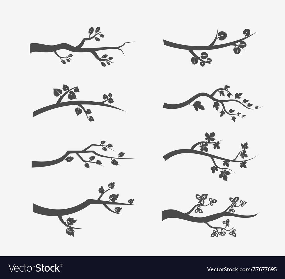 Tree branches silhouette with leaves Royalty Free Vector