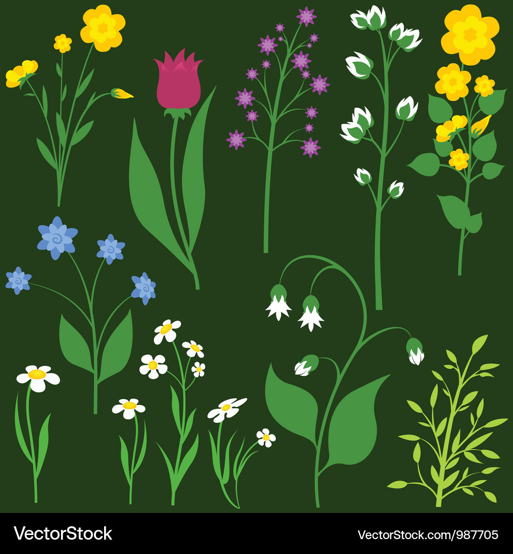 Flowers - different colored Royalty Free Vector Image