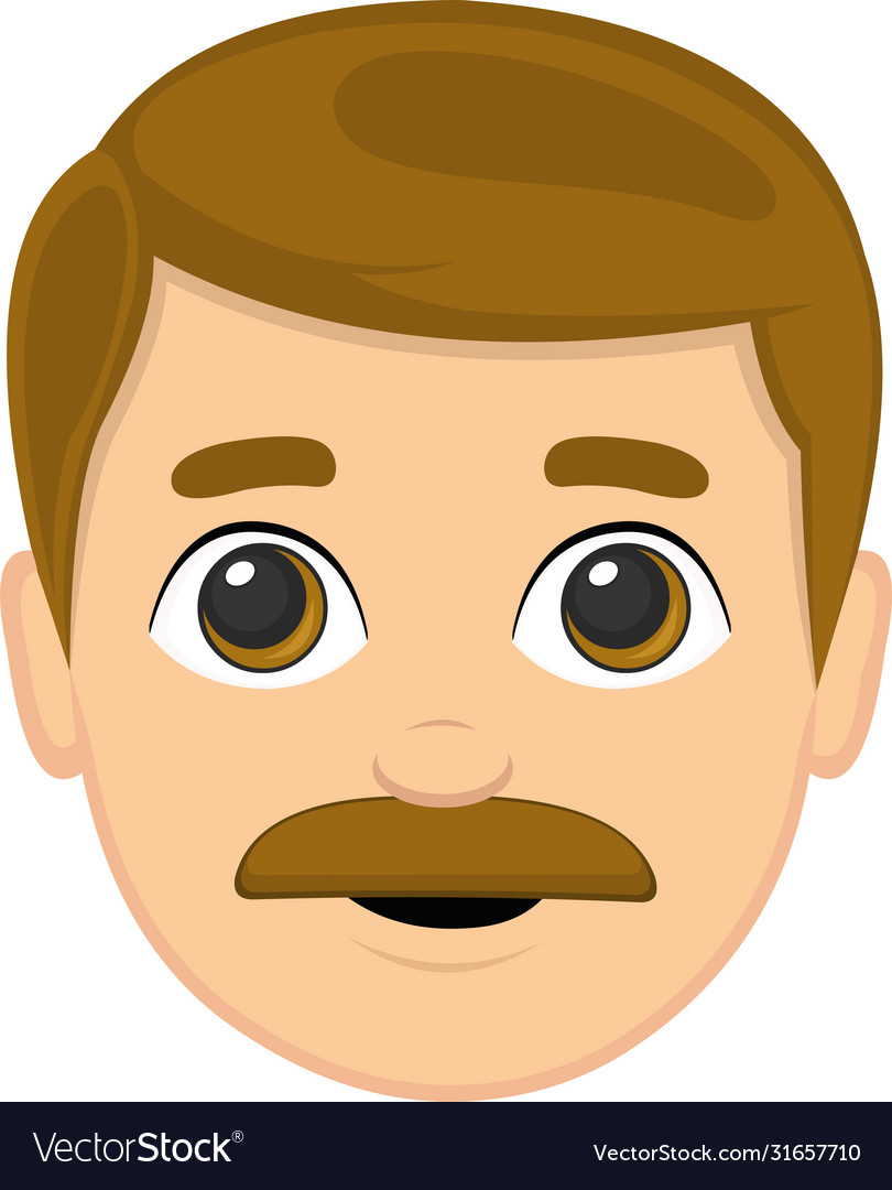 A mans face with mustaches Royalty Free Vector Image