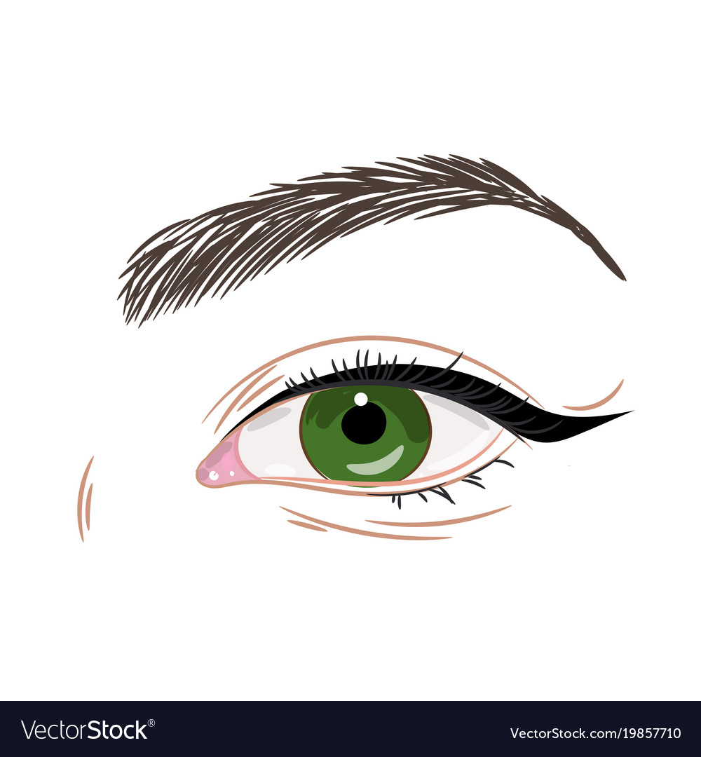 Green female eye with eyeliner Royalty Free Vector Image