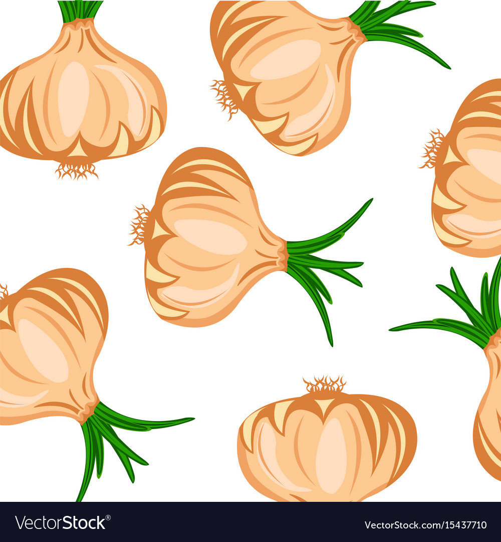 Hand Drawn Onion Pattern
