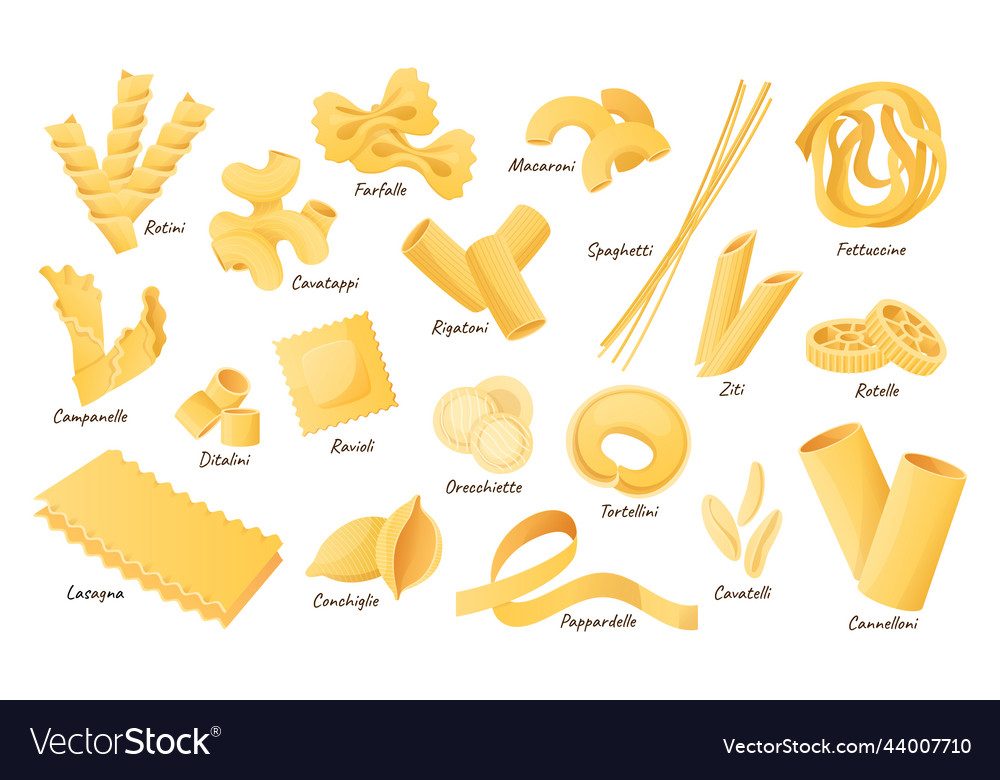 Delicious italian pasta types of high quality Vector Image