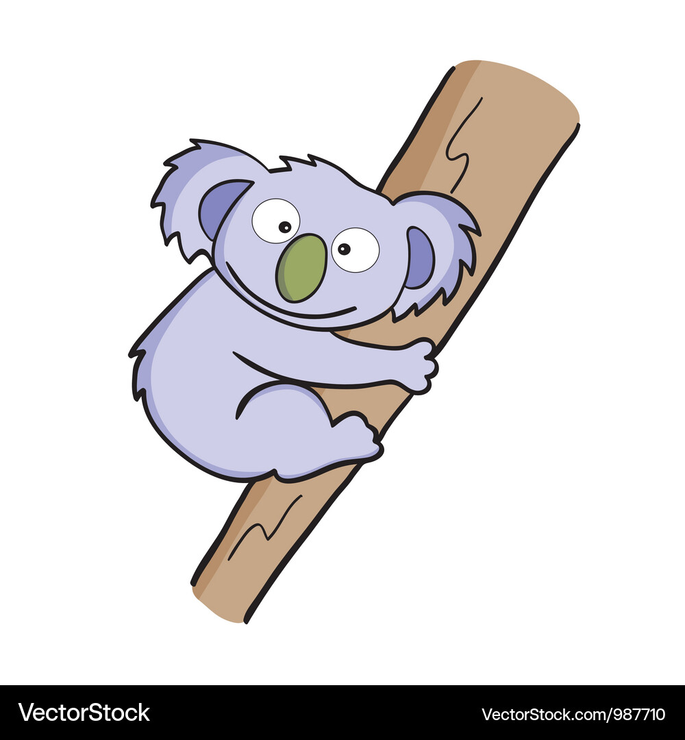 Koala Royalty Free Vector Image - VectorStock