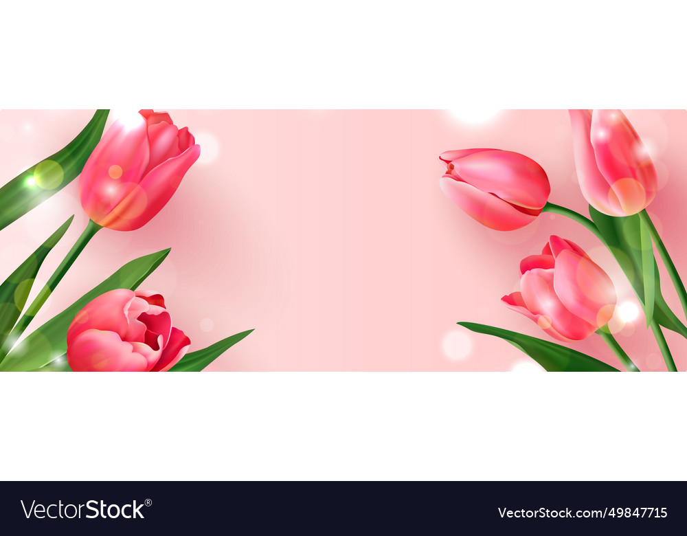 Background with realistic tulips Vector Image Background with realistic tulips