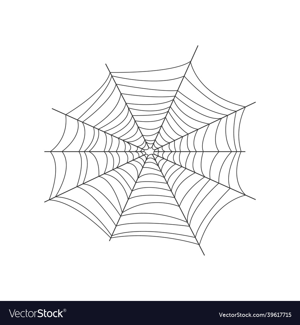 Image of the web net is a trap for insects