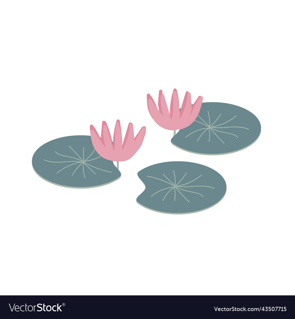 Water lily flower simple hand drawn Royalty Free Vector