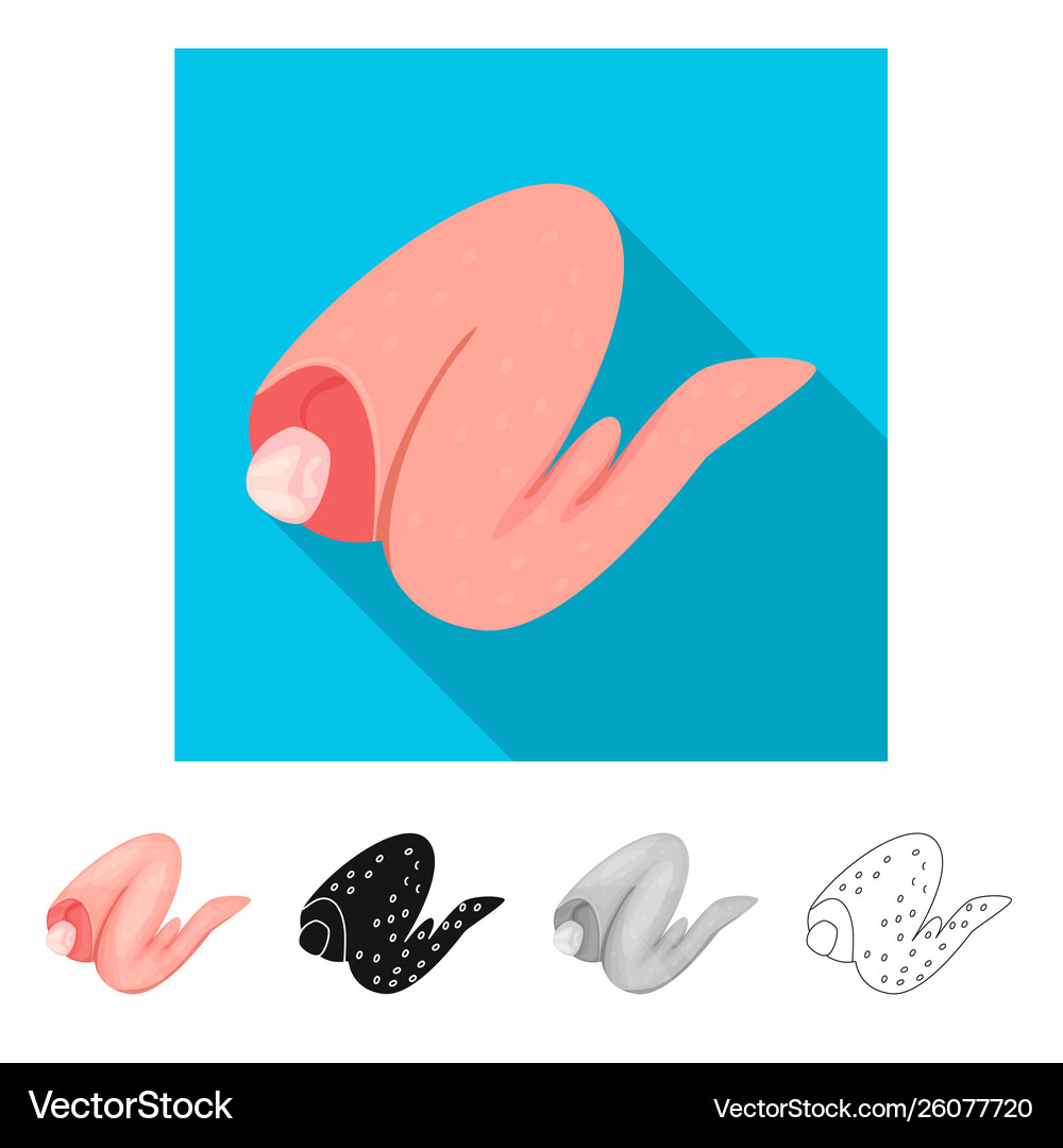 Chicken And Wing Logo Royalty Free Vector Image