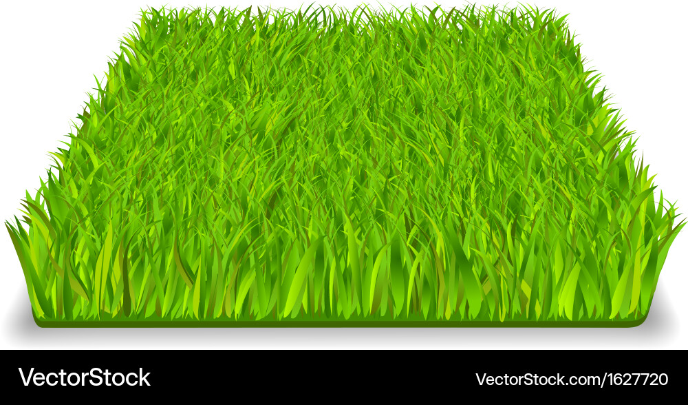 Green grass Royalty Free Vector Image - VectorStock