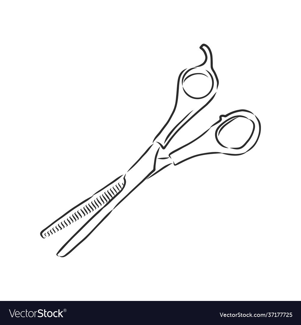 Scissors sketch doodle style vector image Scissors sketch doodle style