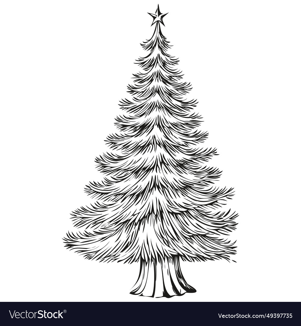 Christmas tree drawing in black and white hand Vector Image