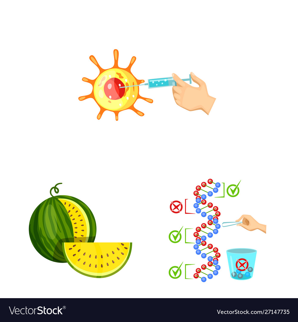 Design modified and genetically icon vector image Design modified and genetically icon