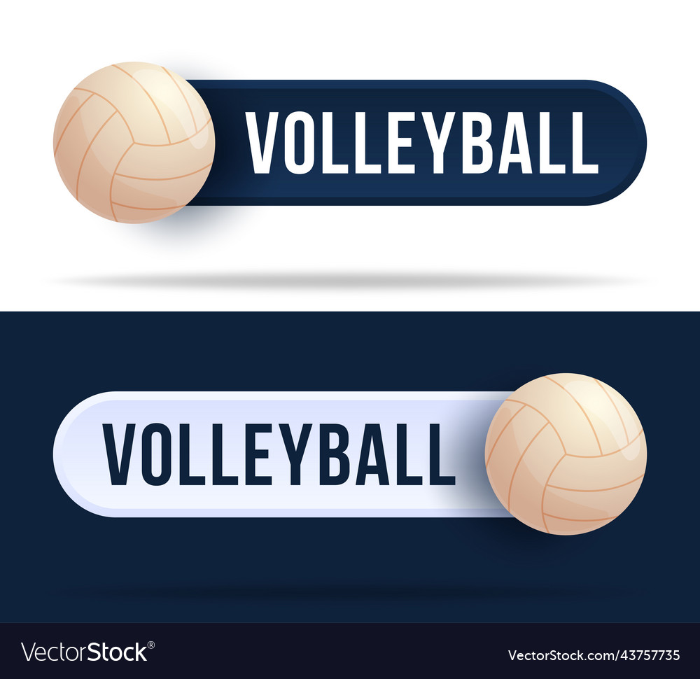 Volleyball toggle switch buttons with basketball