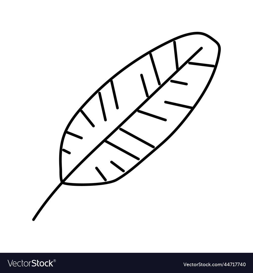 Banana tropical leaf line icon Royalty Free Vector Image