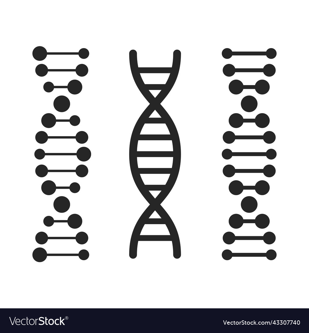 Dna icons set on white background Royalty Free Vector Image