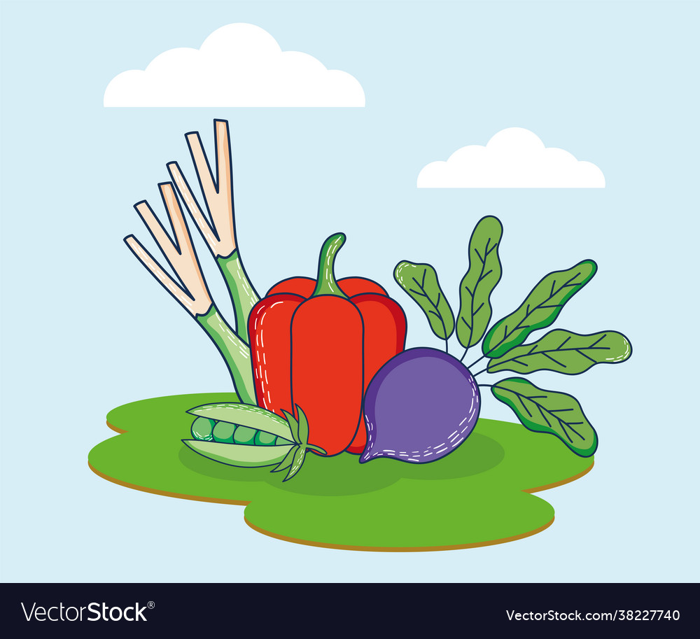 Fresh vegetables in camp