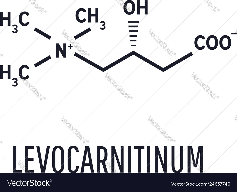 Levocarnitine biological molecule acetylcarnitine