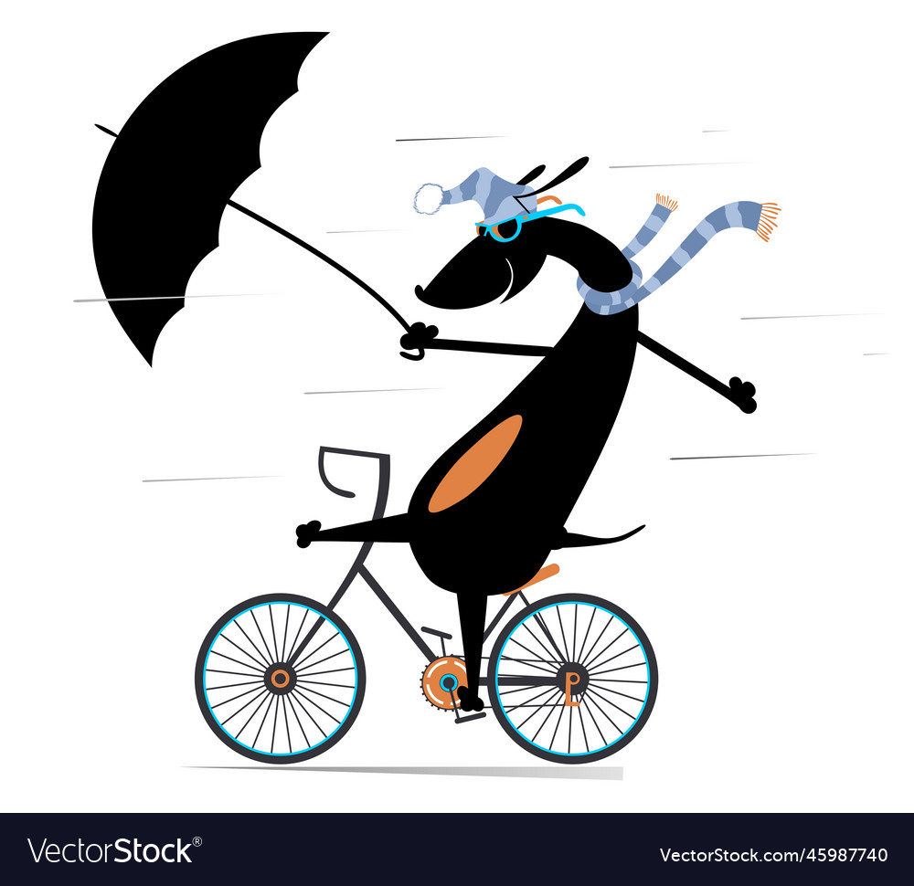 Rainy and windy day dog rides a bike