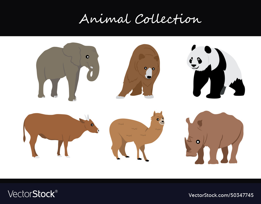 Animal collection cartoon style Royalty Free Vector Image