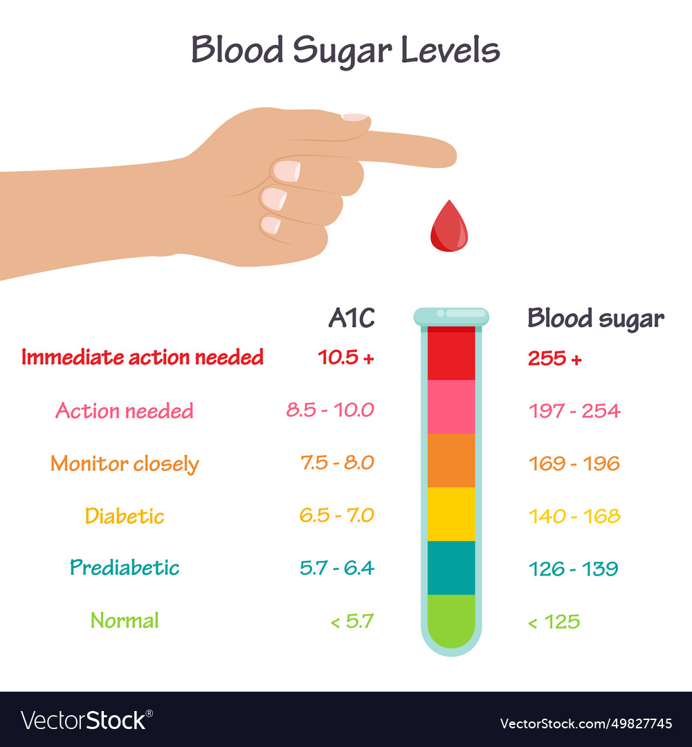 Blood glucose and a1c normal ranges infographic Vector Image