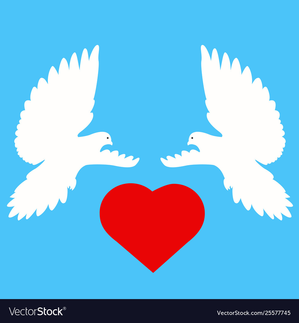 Tauben Hochzeit Tauben vector image Tauben Hochzeit Tauben