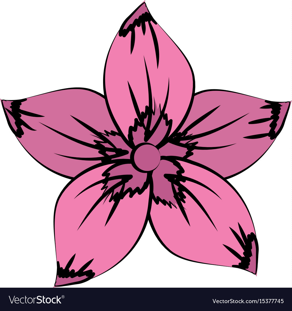 Rustic flower with natural petals Royalty Free Vector Image