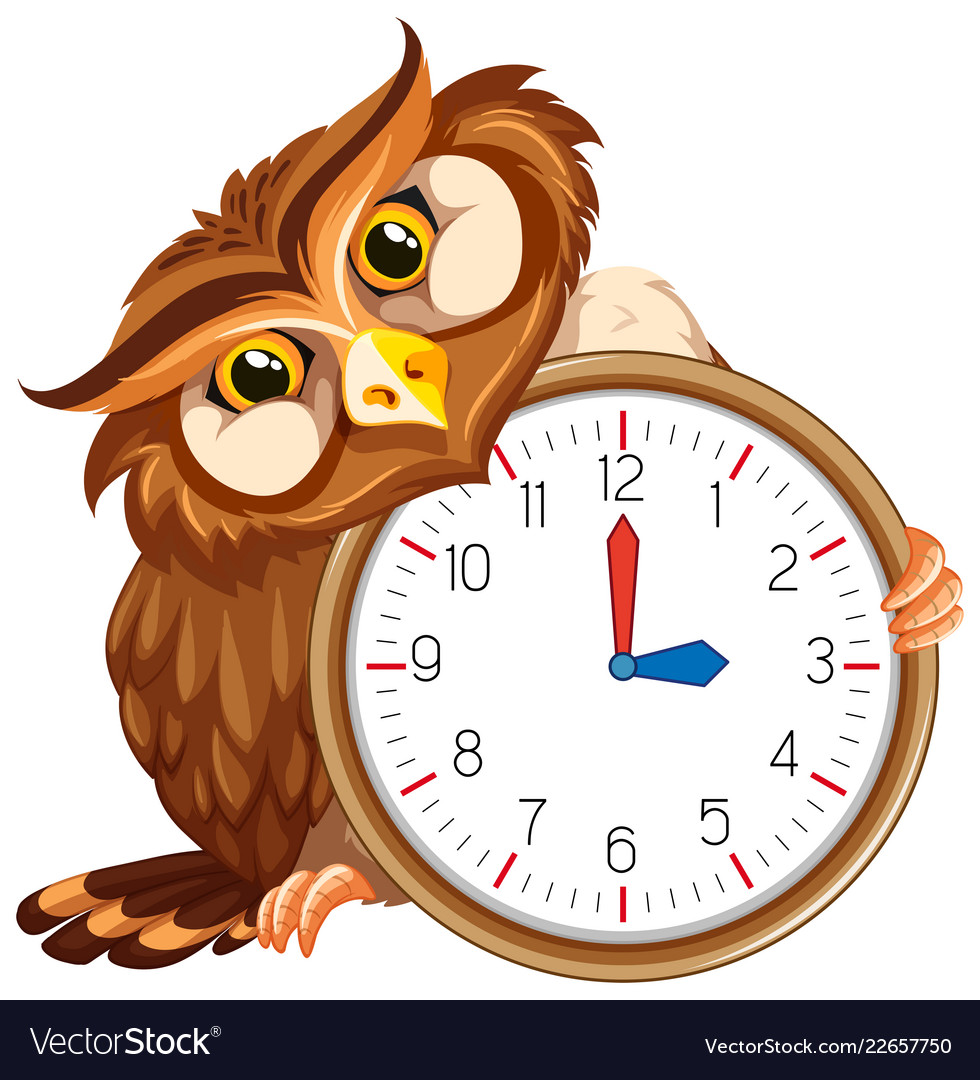 An owl on modern clock Royalty Free Vector Image