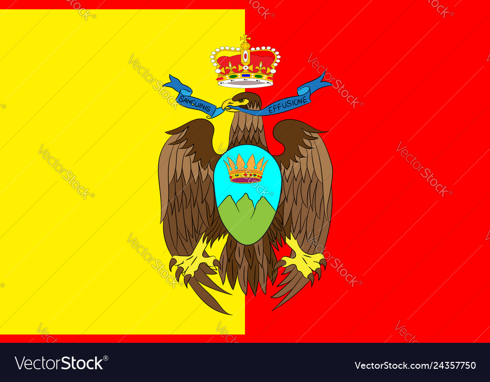 Flag of catanzaro calabria italy
