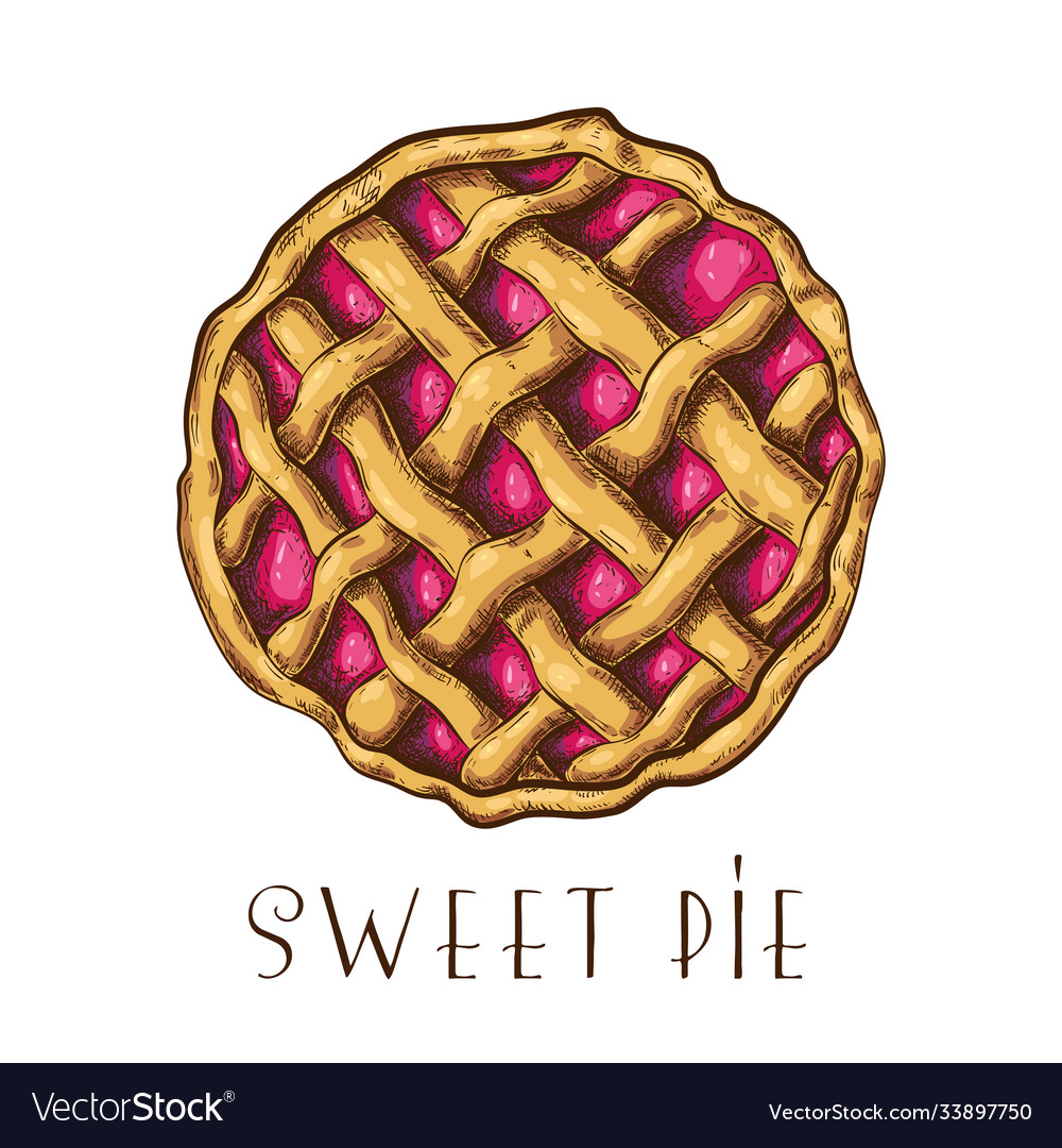 Hand drawn apple pie tart or cake with berries Vector Image Hand drawn apple pie tart or cake with berries
