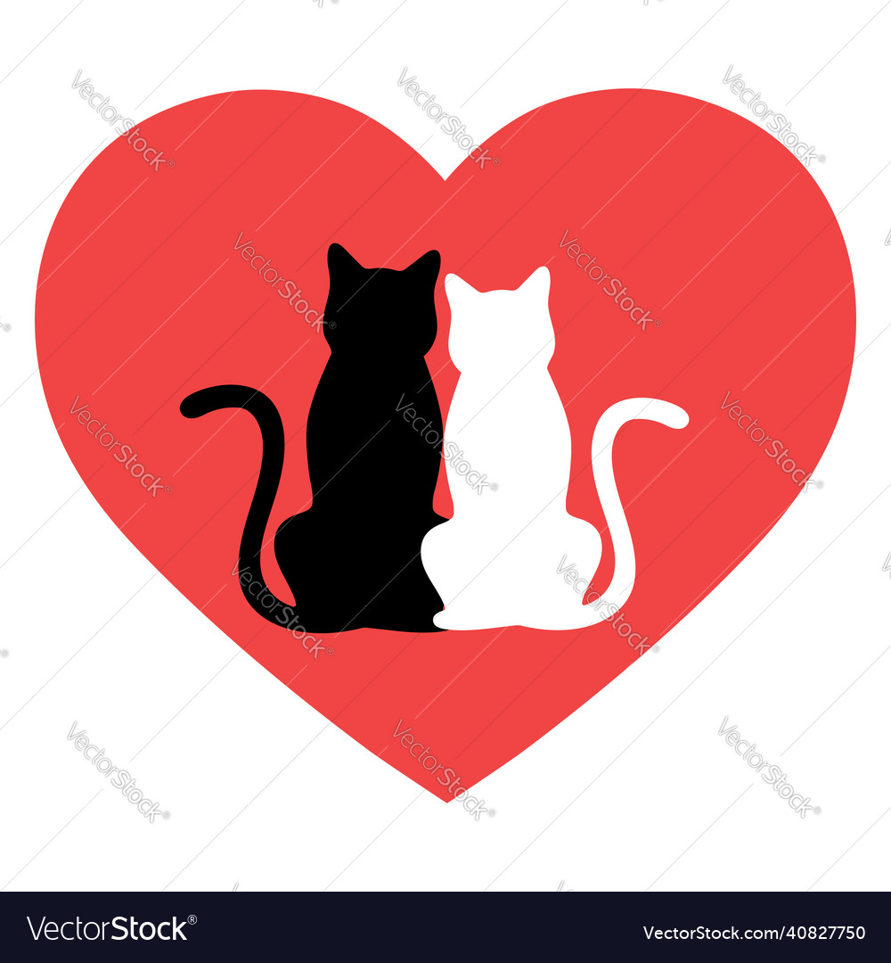 Two black cat head couple family icon red heart Vector Image