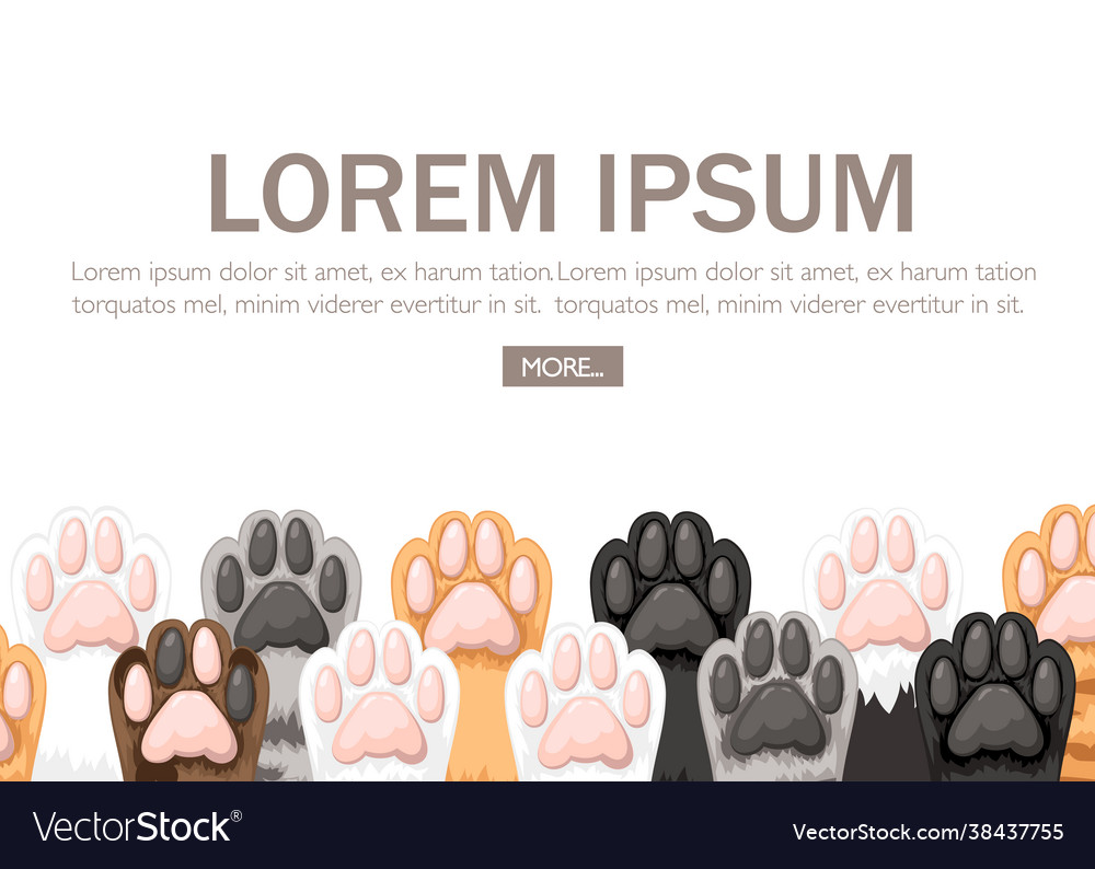 Pattern different color cat paws icon vector image Pattern different color cat paws icon