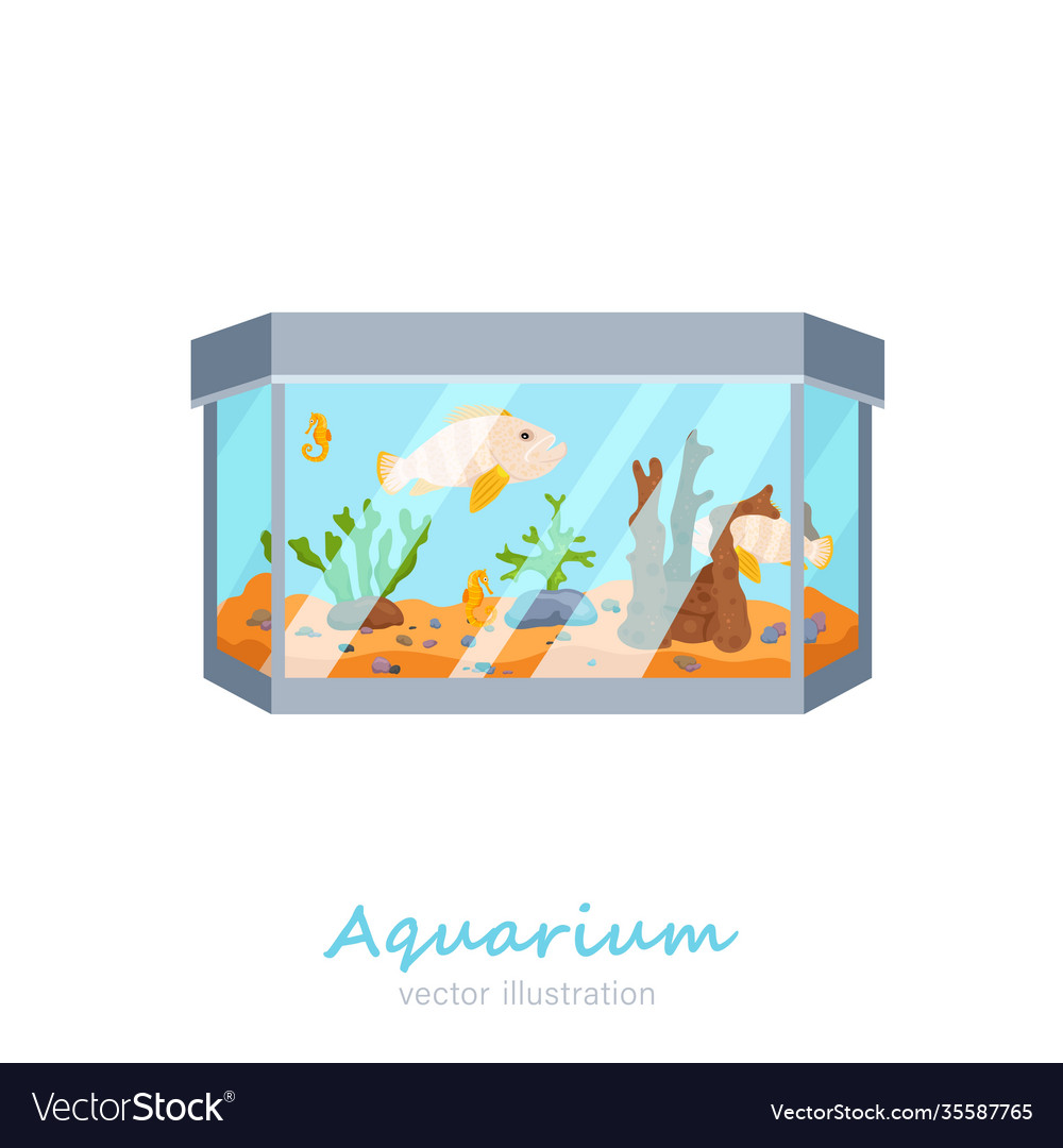 Aquarium image