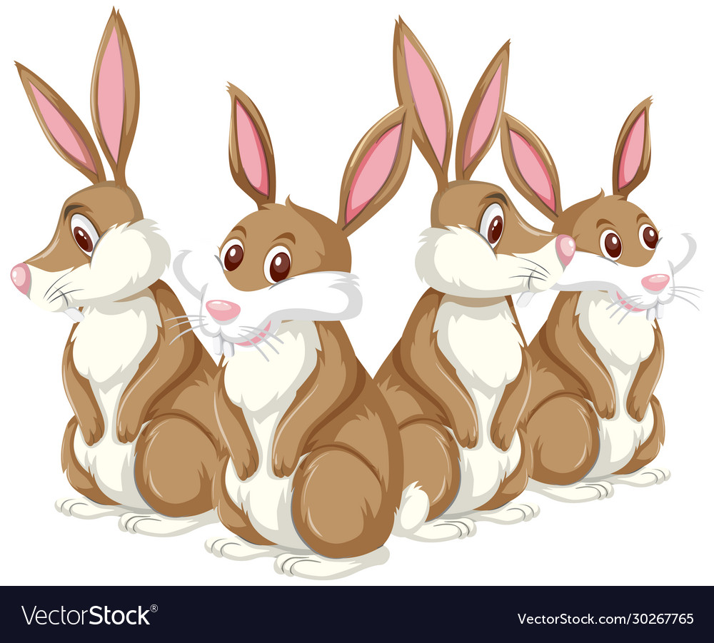 Brown bunnies